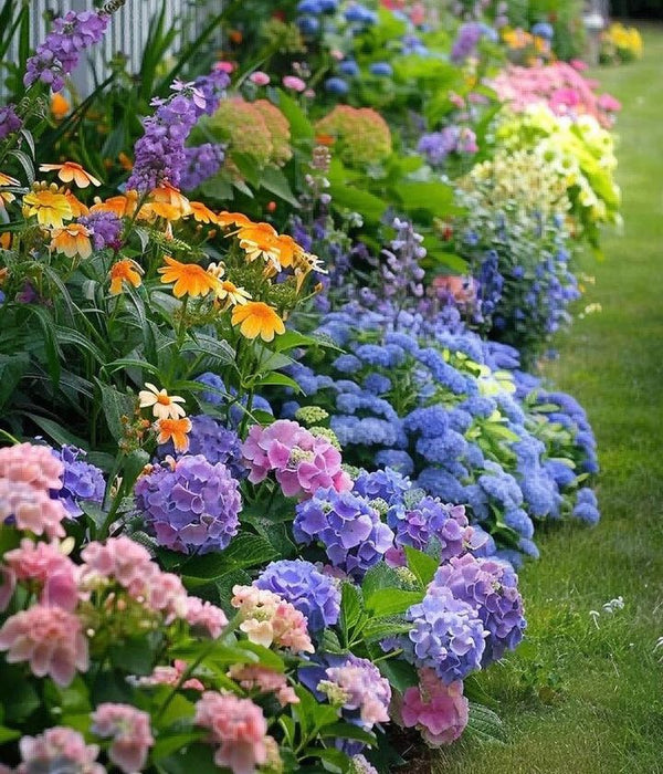 مزيج بذور الزهور البرية الساحرة